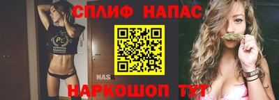 гидропоника Гусев