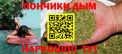 гидропоника Гусев